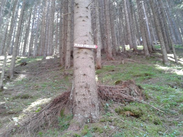 Signpost
