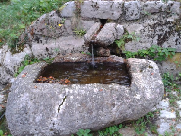 Fountain
