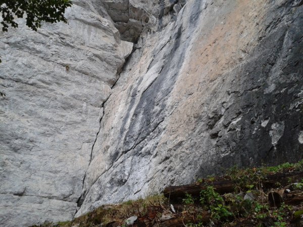 Climbing wall

