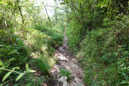 Sentiero
in Valle di San Martino