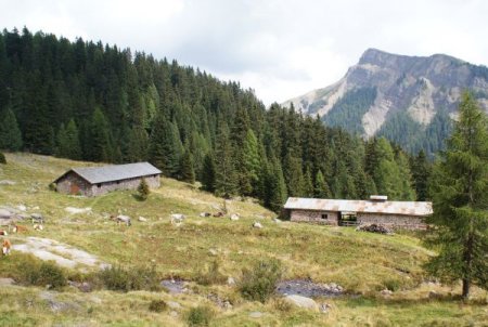 Malga Juribrutto