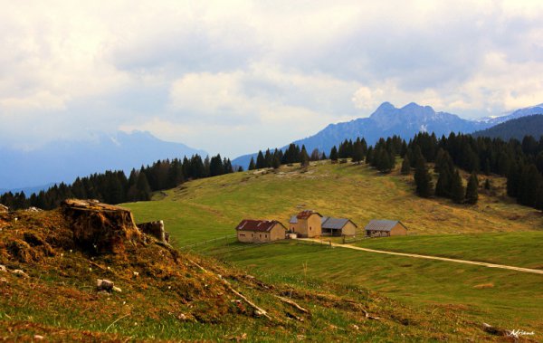 Malga Trugole
