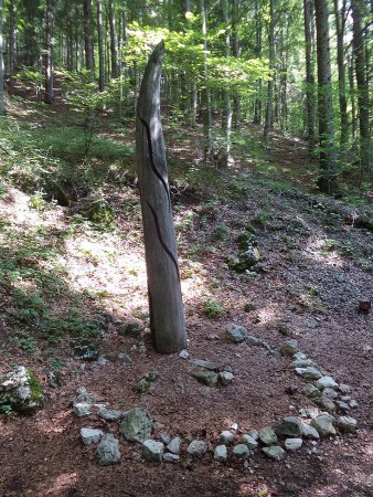 Verdant horn
Johann Feilacher, 2002 - Copyright Arte Sella, photo by Giorgio Barchiesi