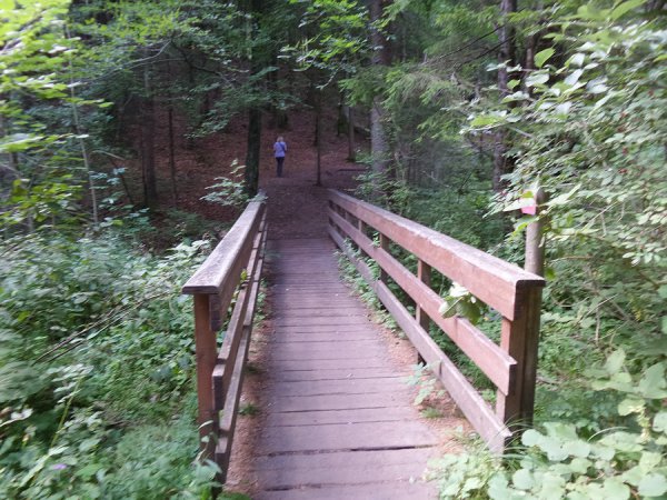 Bridge
