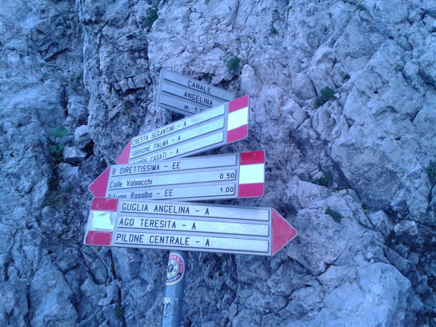 Indications