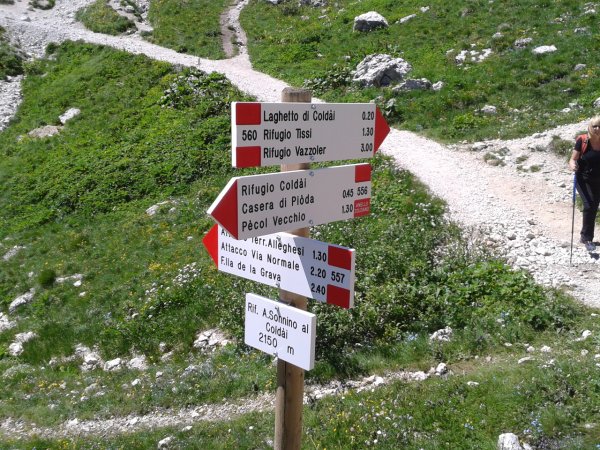 Indications