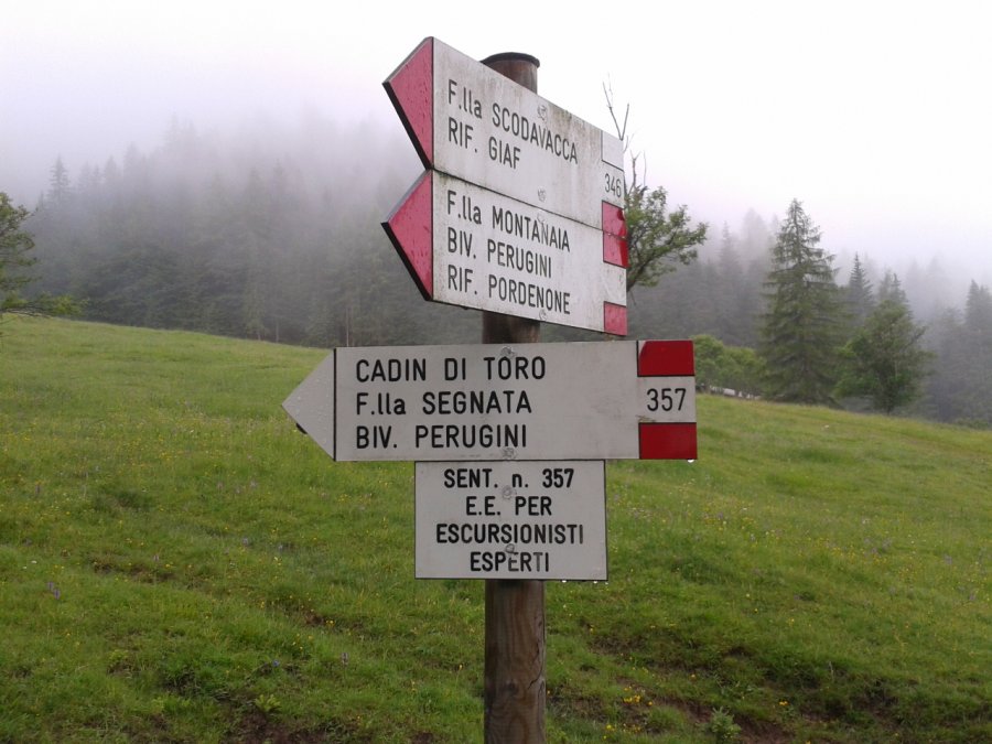 Indications