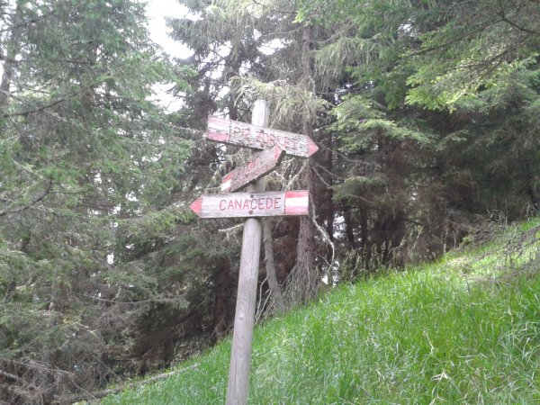 Indications