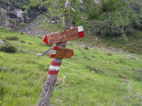 Indications