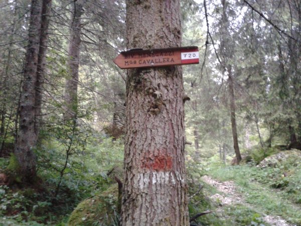 Indications