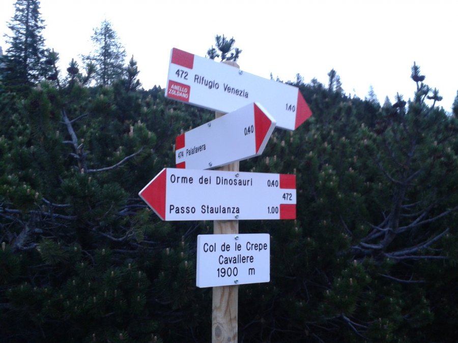 Indications