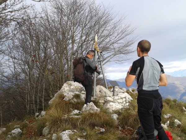 Summit