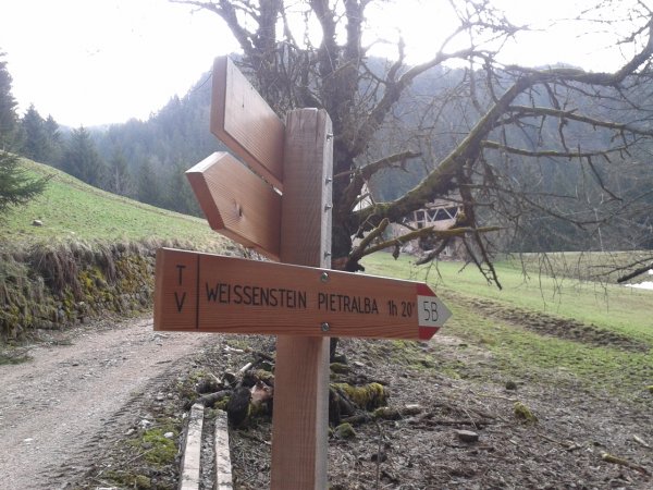 Indications