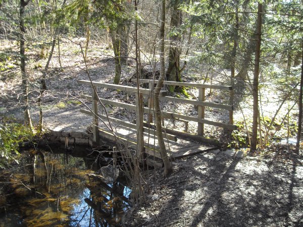 Bridge