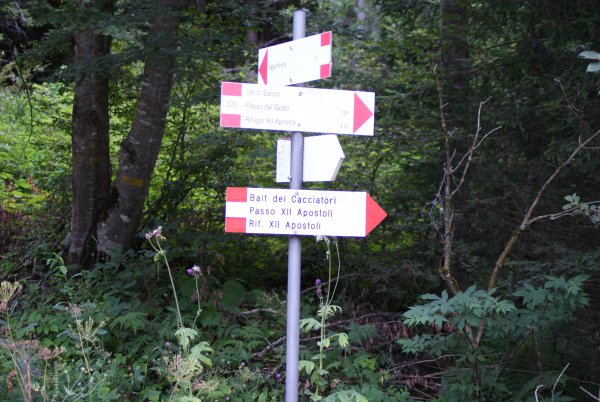 Indications