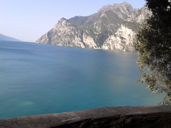 Viewpoint