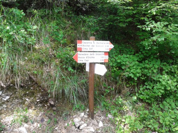 Indications