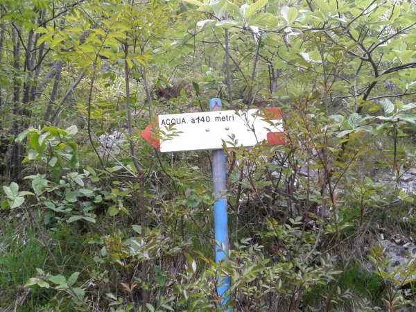 Indications