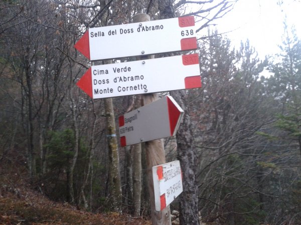 Indications