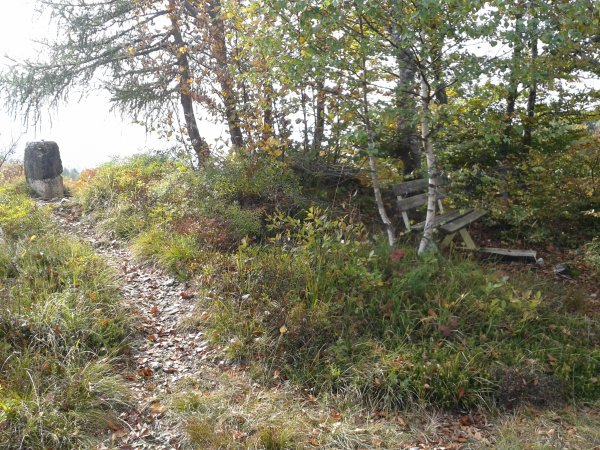 Summit