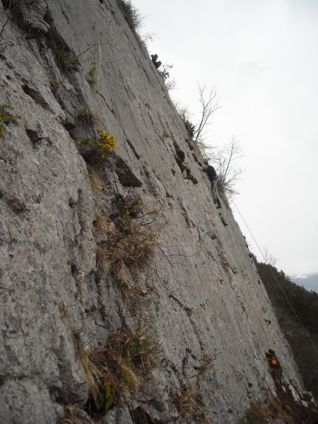 Cliff
