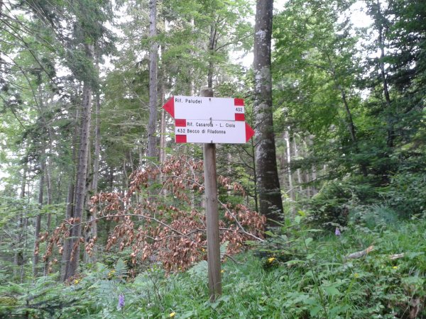 Indications