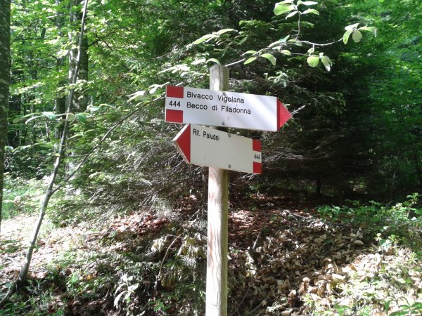 Indications