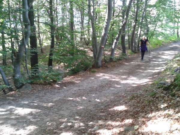 Place