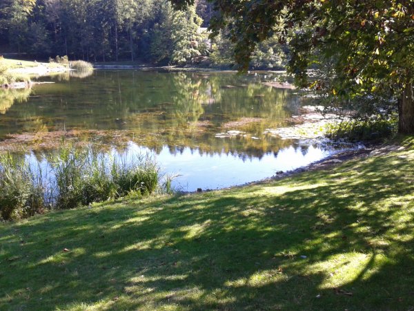 Place
