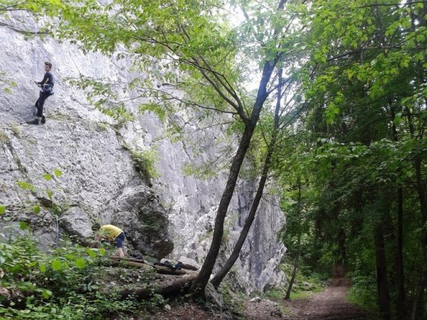 Climbing wall