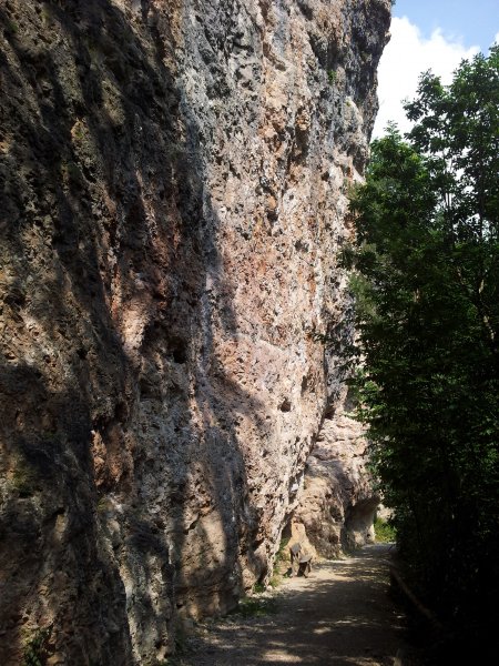 falesia