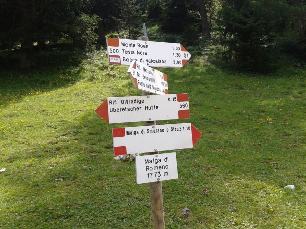Indications