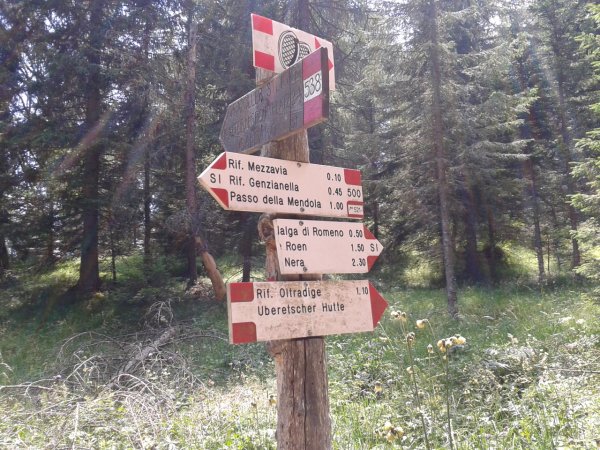Indications