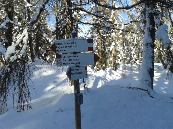 Indications