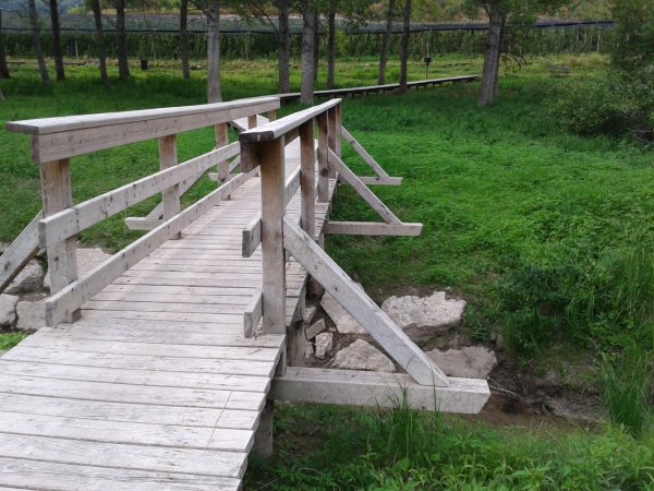 Bridge