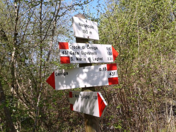 Indications