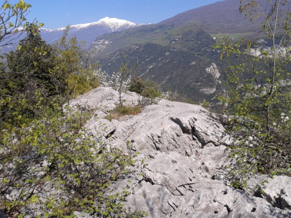 Summit