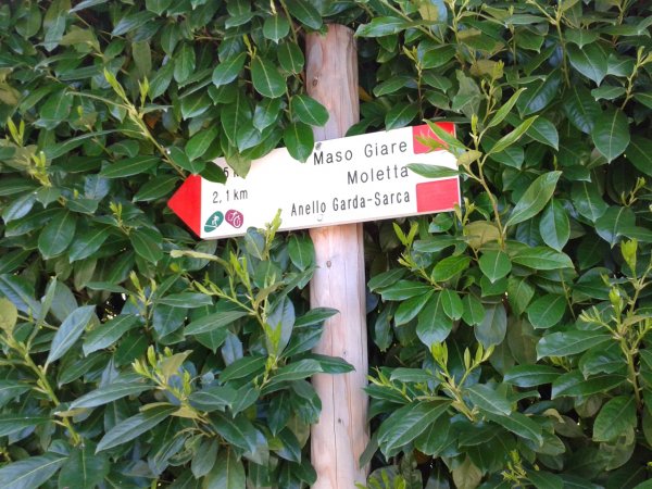 Indications