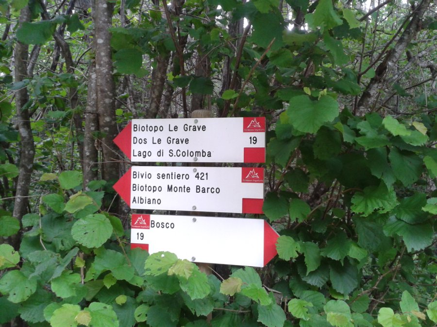 Indications