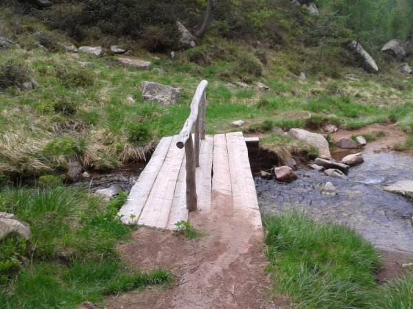 Bridge