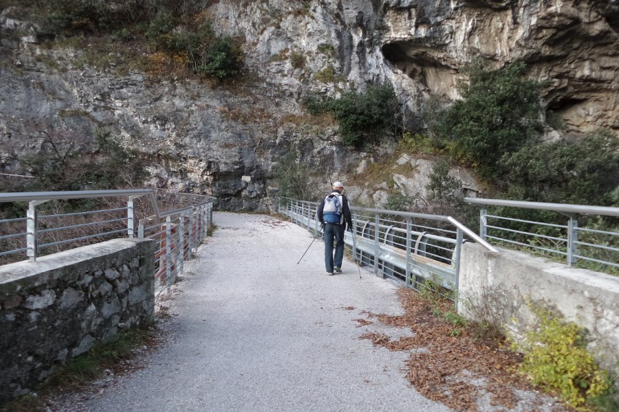 Bridge