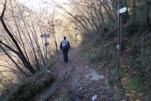 Crossroads, straight ahead
