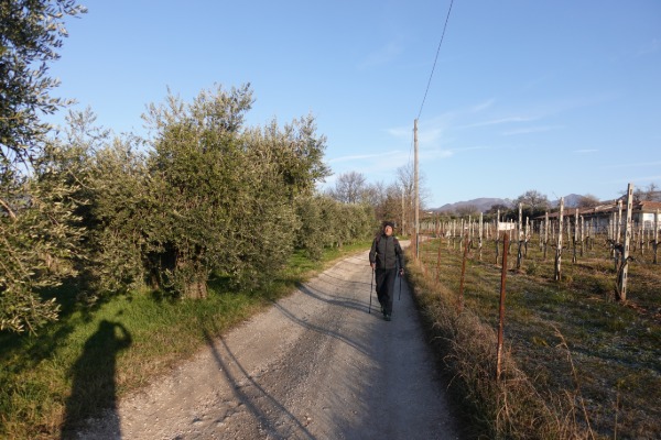 Camminando nelle campagne
tra Salò e Pieve Vecchia