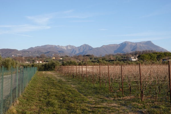 Vista dalla campagna
verso Cresta delle Marmere, Monte Spino e Pizzoccolo