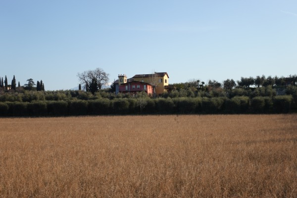 In campagna
verso Pieve Vecchia