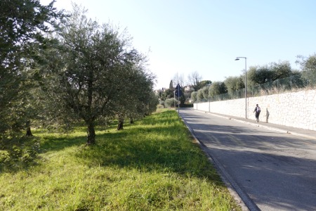 Camminando vicino agli ulivi
nei pressi di Gardoncino