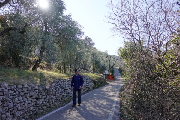 Camminando tra gli ulivi
tra Crero e Pai di Sopra