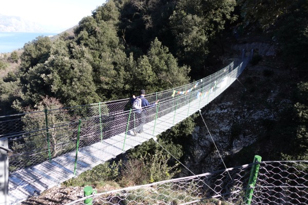 Tibetan bridge
