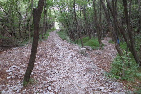 Crossroads, straight ahead
