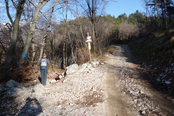 Crossroads, straight ahead
